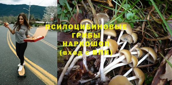 метамфетамин Белокуриха